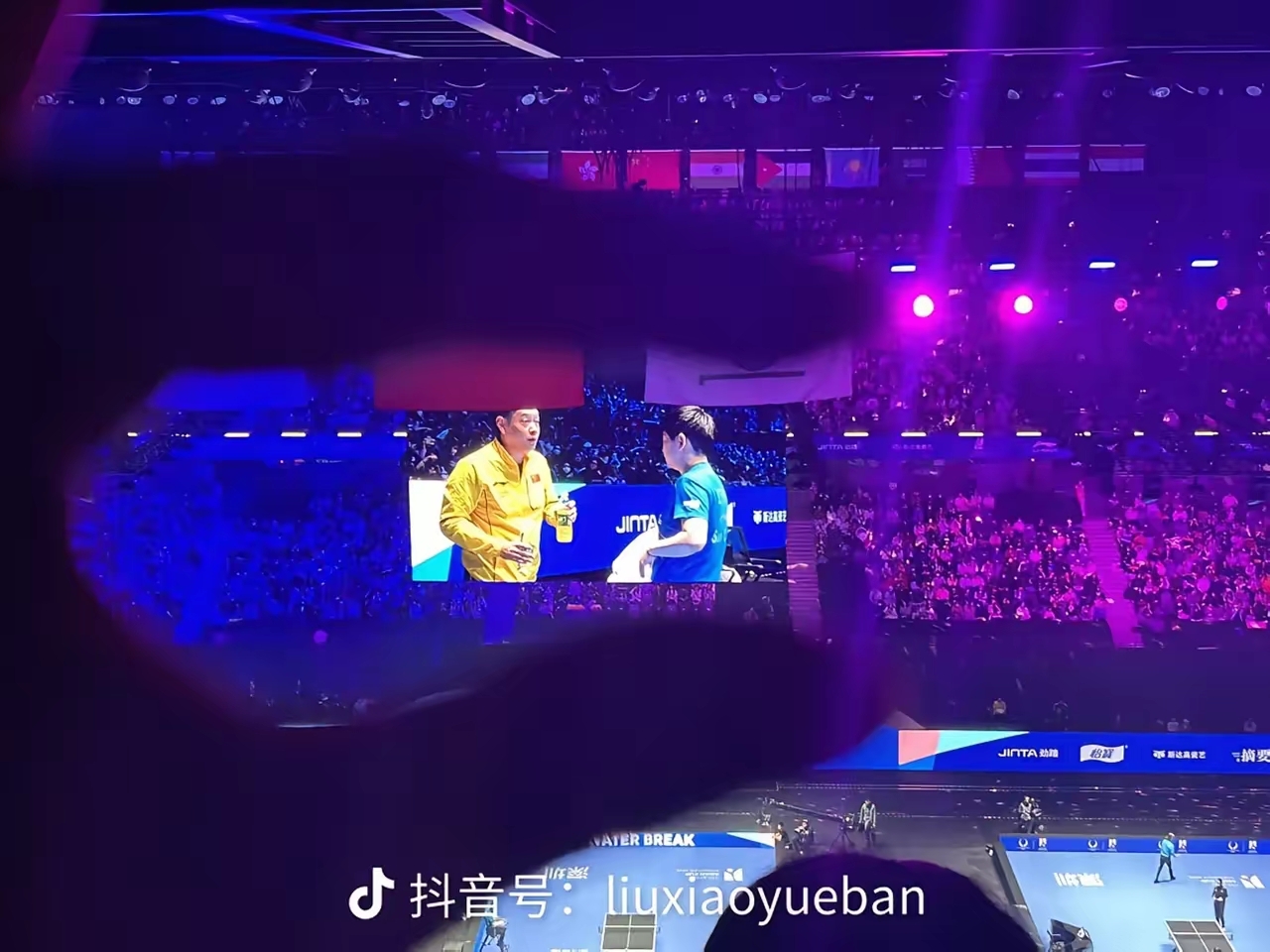 精彩比赛频频上演，观众乐不可支